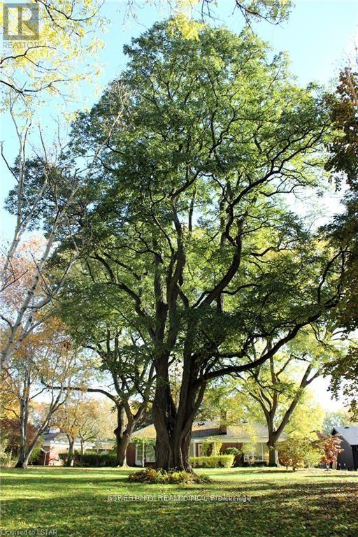 1517 Gloucester Road, London North, Ontario  N6H 2S5 - Photo 22 - X12949336