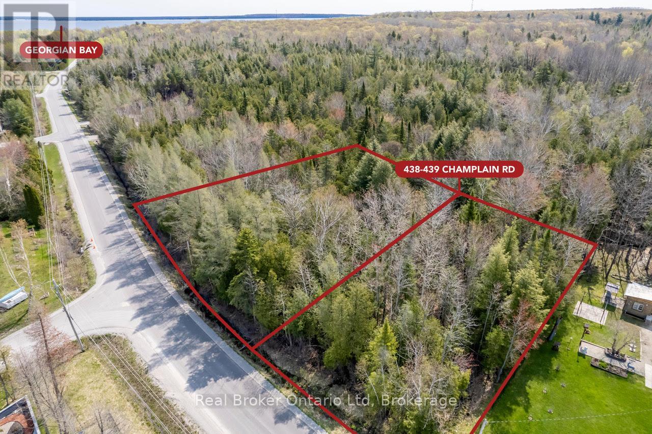Lot 438 Champlain Road, Tiny, Ontario  L9M 1S5 - Photo 2 - S12949244