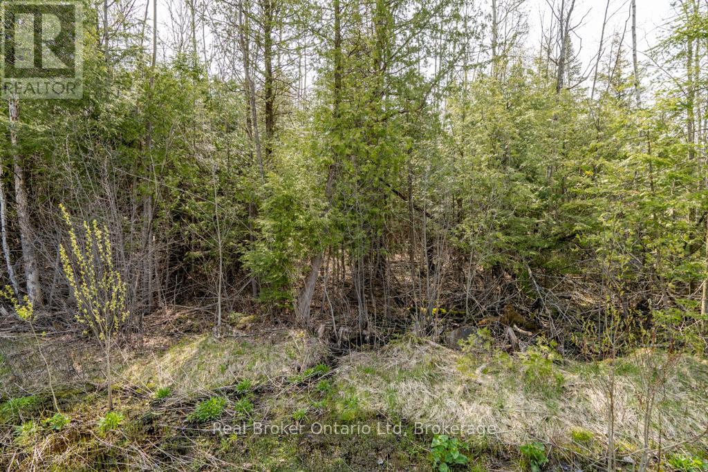 Lot 438 Champlain Road, Tiny, Ontario  L9M 1S5 - Photo 5 - S12949244