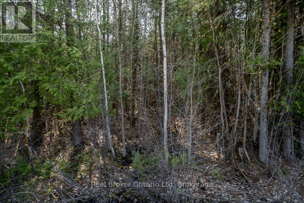Lot 438 Champlain Road, Tiny, Ontario  L9M 1S5 - Photo 6 - S12949244