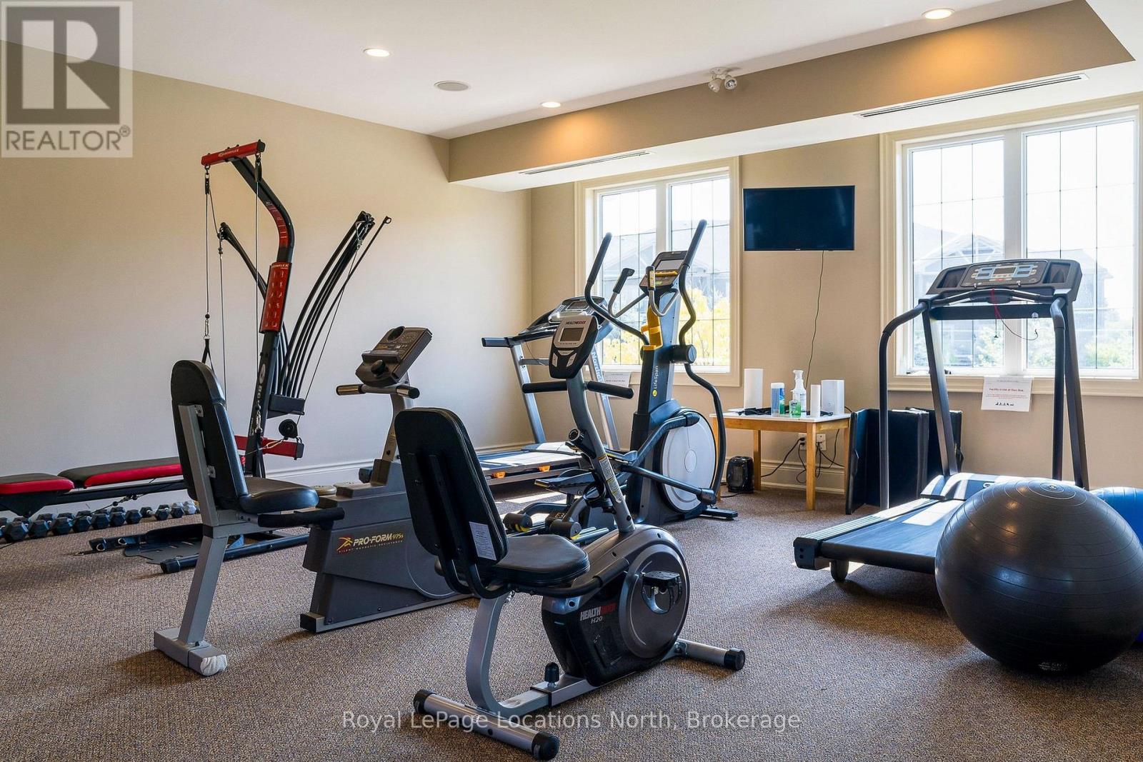 #201 - 25 Beaver Street S, Blue Mountains, Ontario  N0H 2P0 - Photo 6 - X12949188