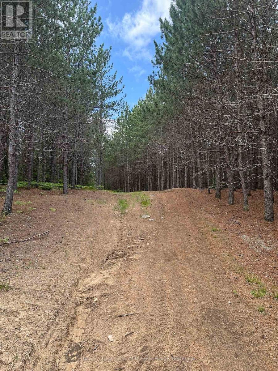 1958 518 Highway, Mcmurrich/monteith, Ontario  P0A 1Y0 - Photo 12 - X12949230