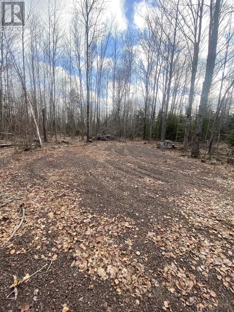 1485 W Tatamagouche Road, West Tatamagouche, Nova Scotia  B0K 1V0 - Photo 7 - 202606155