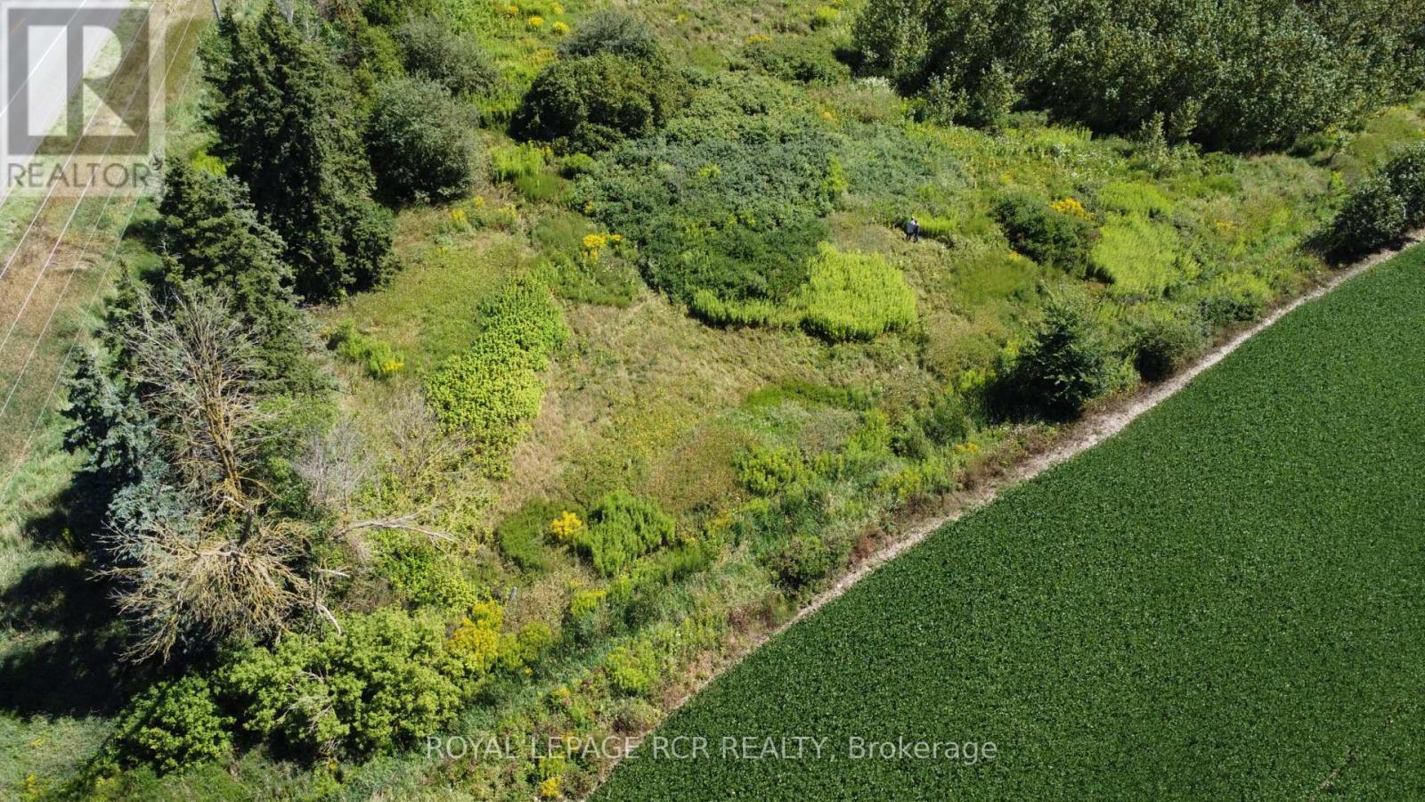 Lt26&27 Wellington Rd 109 N, Wellington North, Ontario  N0G 1A0 - Photo 10 - X12949366