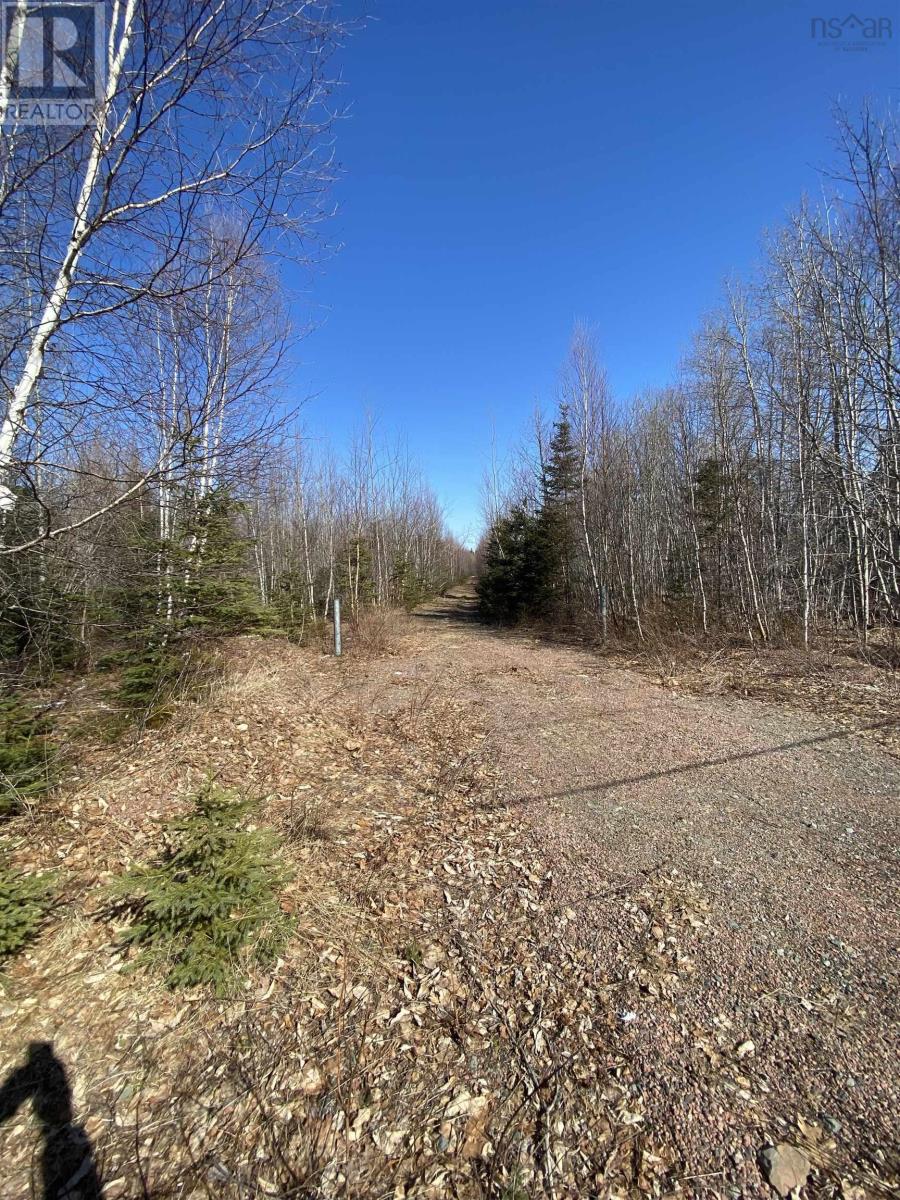 Lot Balmoral Road, Tatamagouche Mountain, Nova Scotia  B0K 1V0 - Photo 8 - 202606159