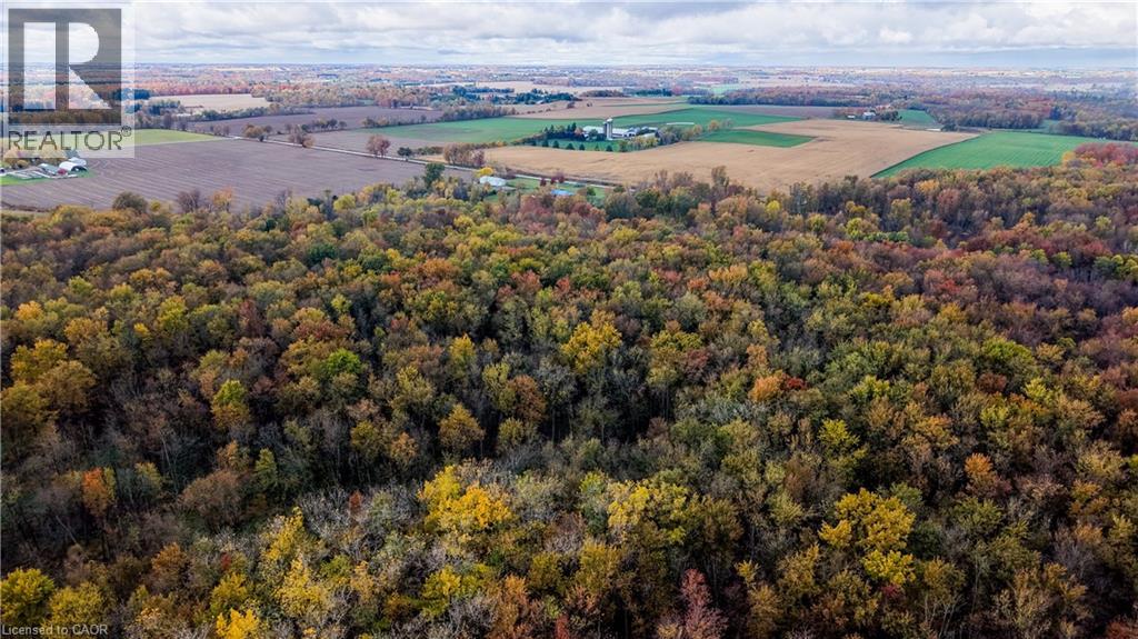 826692 Township Rd 8, Drumbo, Ontario  N0J 1G0 - Photo 48 - 40810653