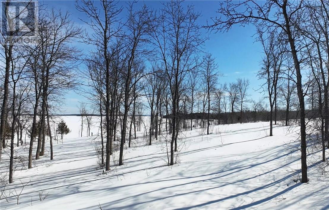 Part 1 N'gokan Milkan Road, Sheguiandah, Ontario P0P 1W0 - Photo 10 - 2126936