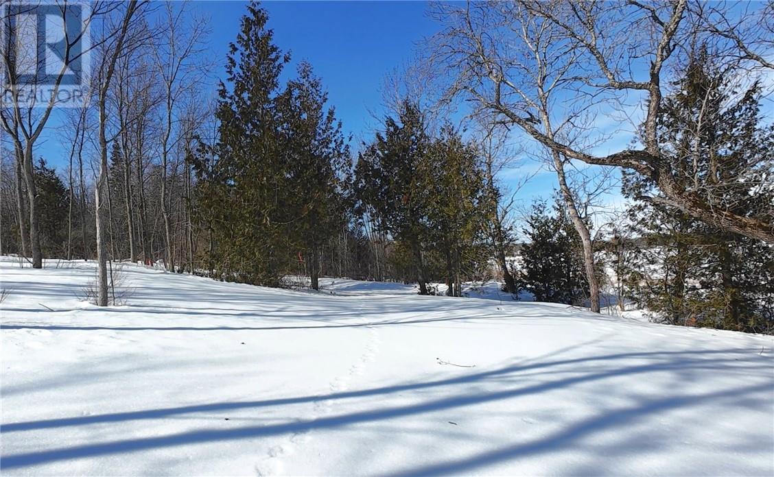 Part 1 N'gokan Milkan Road, Sheguiandah, Ontario P0P 1W0 - Photo 4 - 2126936