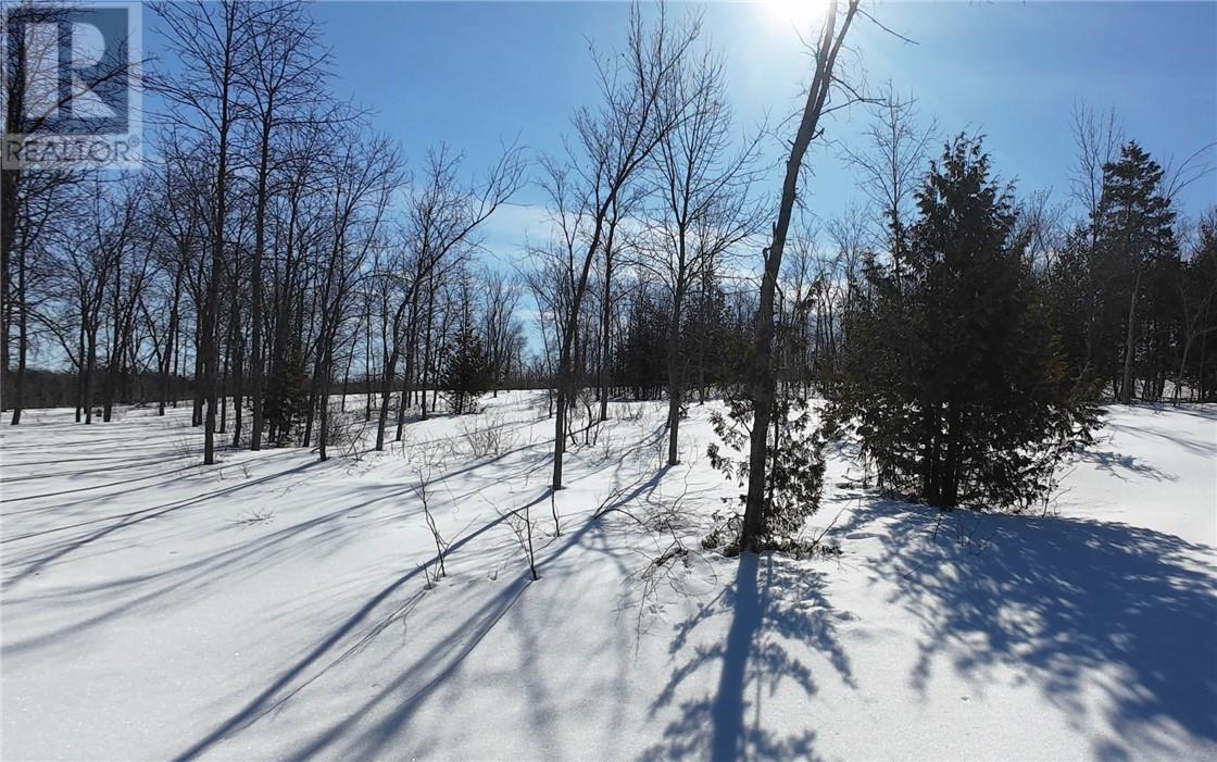 Part 1 N'gokan Milkan Road, Sheguiandah, Ontario P0P 1W0 - Photo 8 - 2126936