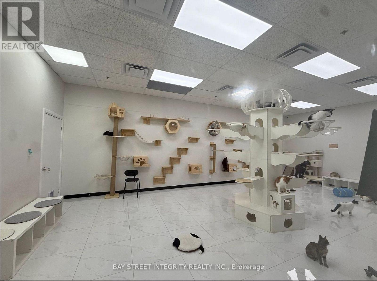 Ground - 327 - 333 Queen Street W, Toronto, Ontario  M5V 2A4 - Photo 5 - C12949388