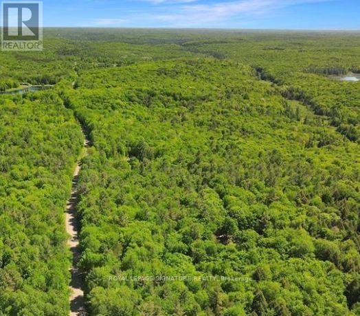 0 Bobcaygeon Road, Minden Hills, Ontario  K0M 2K0 - Photo 3 - X12949434