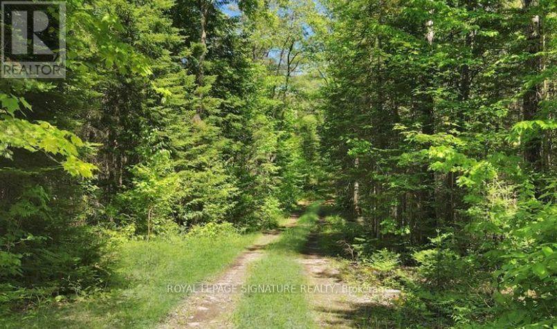 0 Bobcaygeon Road, Minden Hills, Ontario  K0M 2K0 - Photo 4 - X12949434