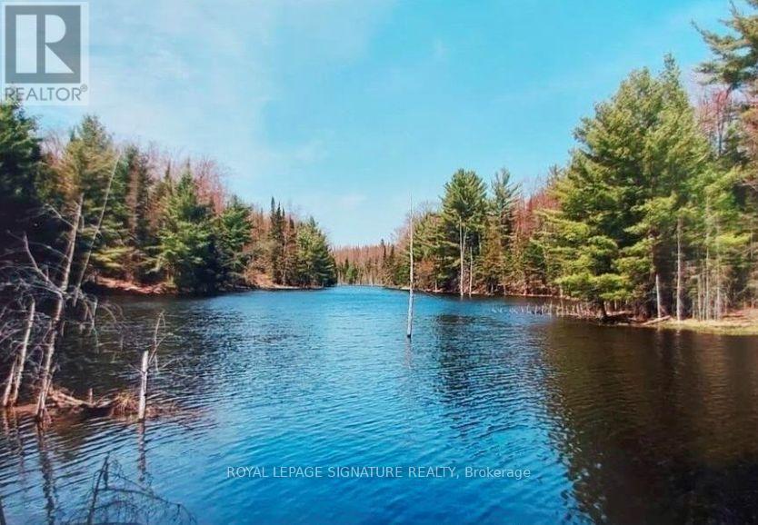 0 Bobcaygeon Road, Minden Hills, Ontario  K0M 2K0 - Photo 7 - X12949434