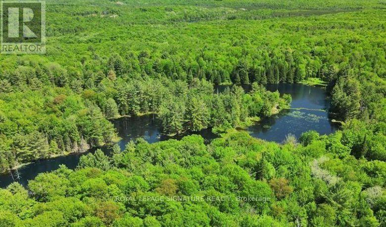0 Bobcaygeon Road, Minden Hills, Ontario  K0M 2K0 - Photo 8 - X12949434
