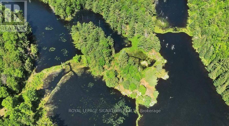 0 Bobcaygeon Road, Minden Hills, Ontario  K0M 2K0 - Photo 9 - X12949434