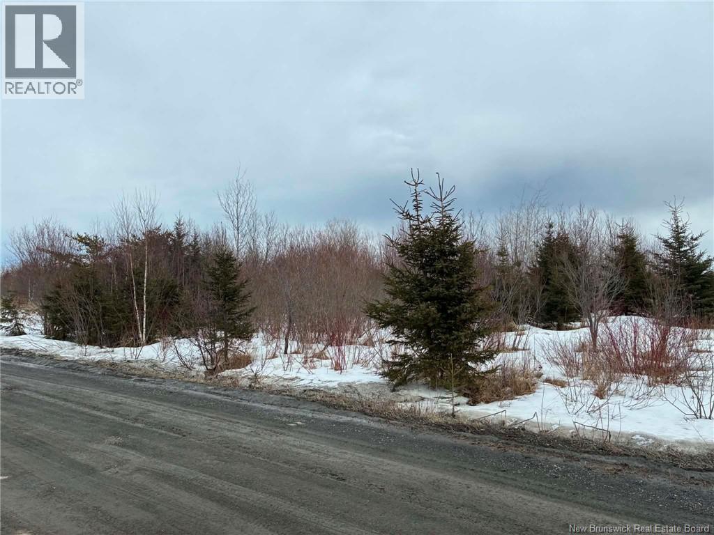 Lizotte Street, Rivière-Verte, New Brunswick  E7C 2R9 - Photo 2 - NB136042
