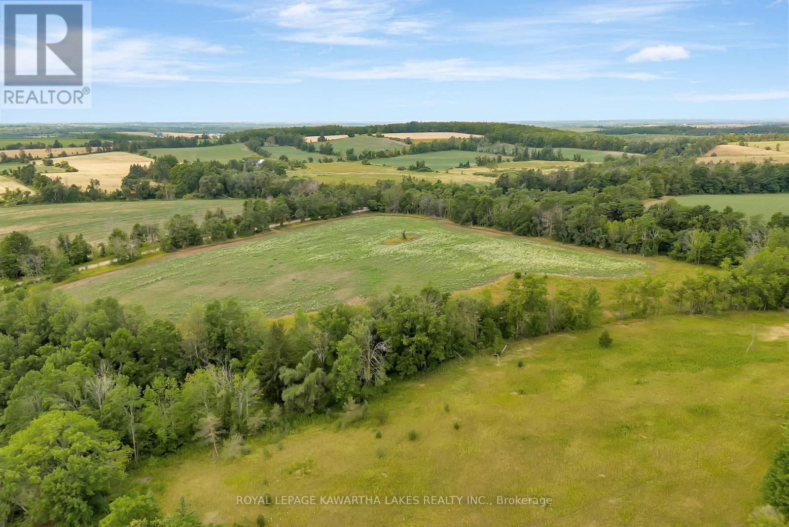 1707 Blezard Line E, Otonabee-South Monaghan, Ontario  K0L 2B0 - Photo 11 - X12949676