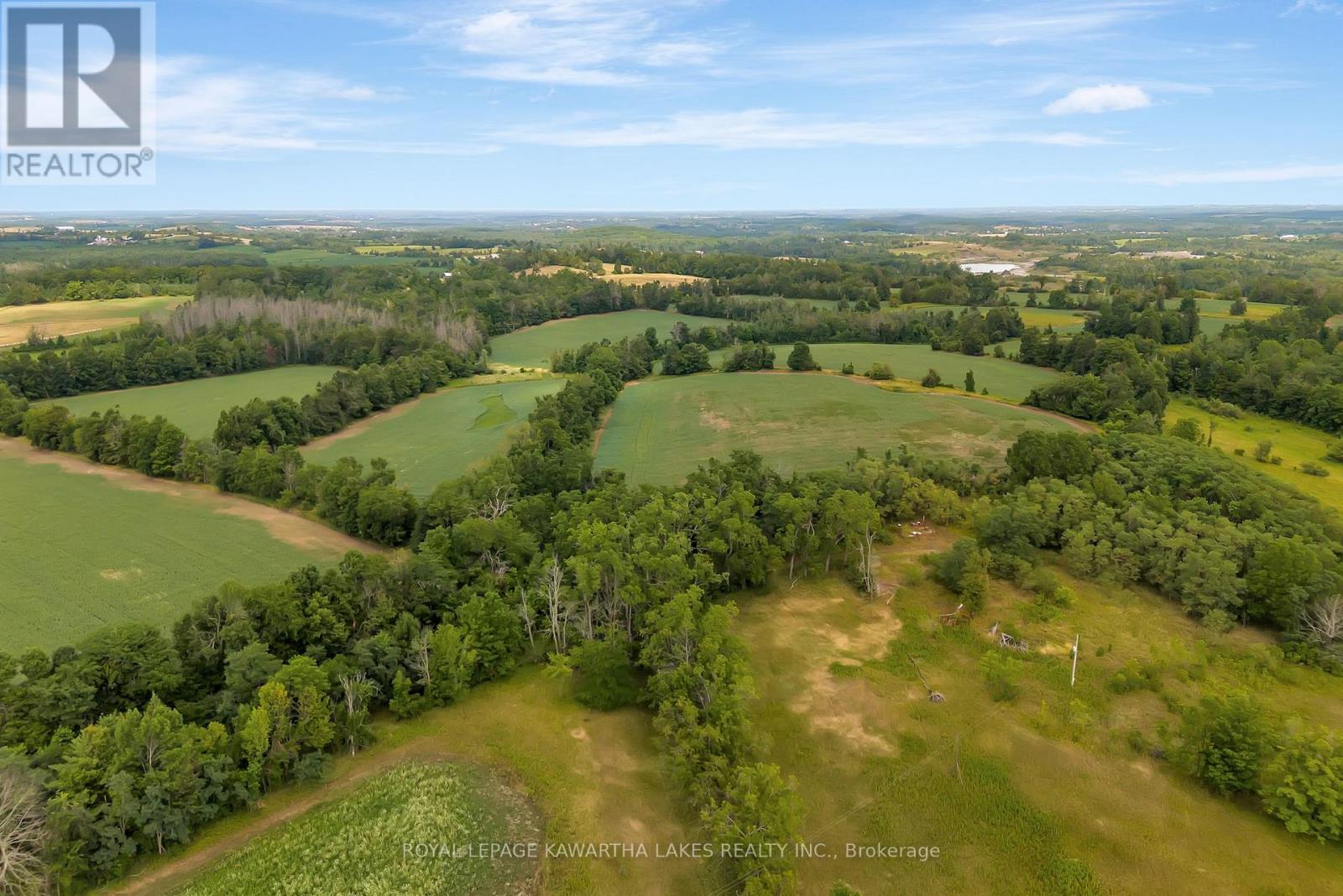 1707 Blezard Line E, Otonabee-South Monaghan, Ontario  K0L 2B0 - Photo 13 - X12949676