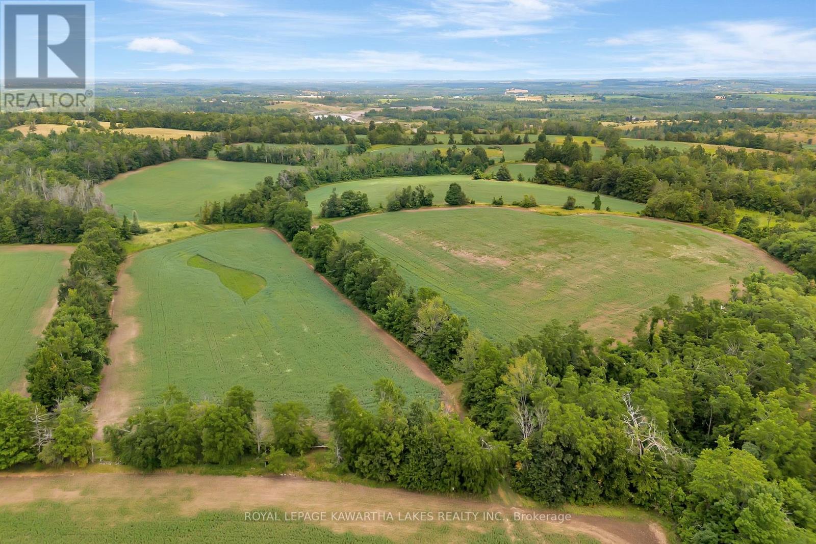 1707 Blezard Line E, Otonabee-South Monaghan, Ontario  K0L 2B0 - Photo 14 - X12949676