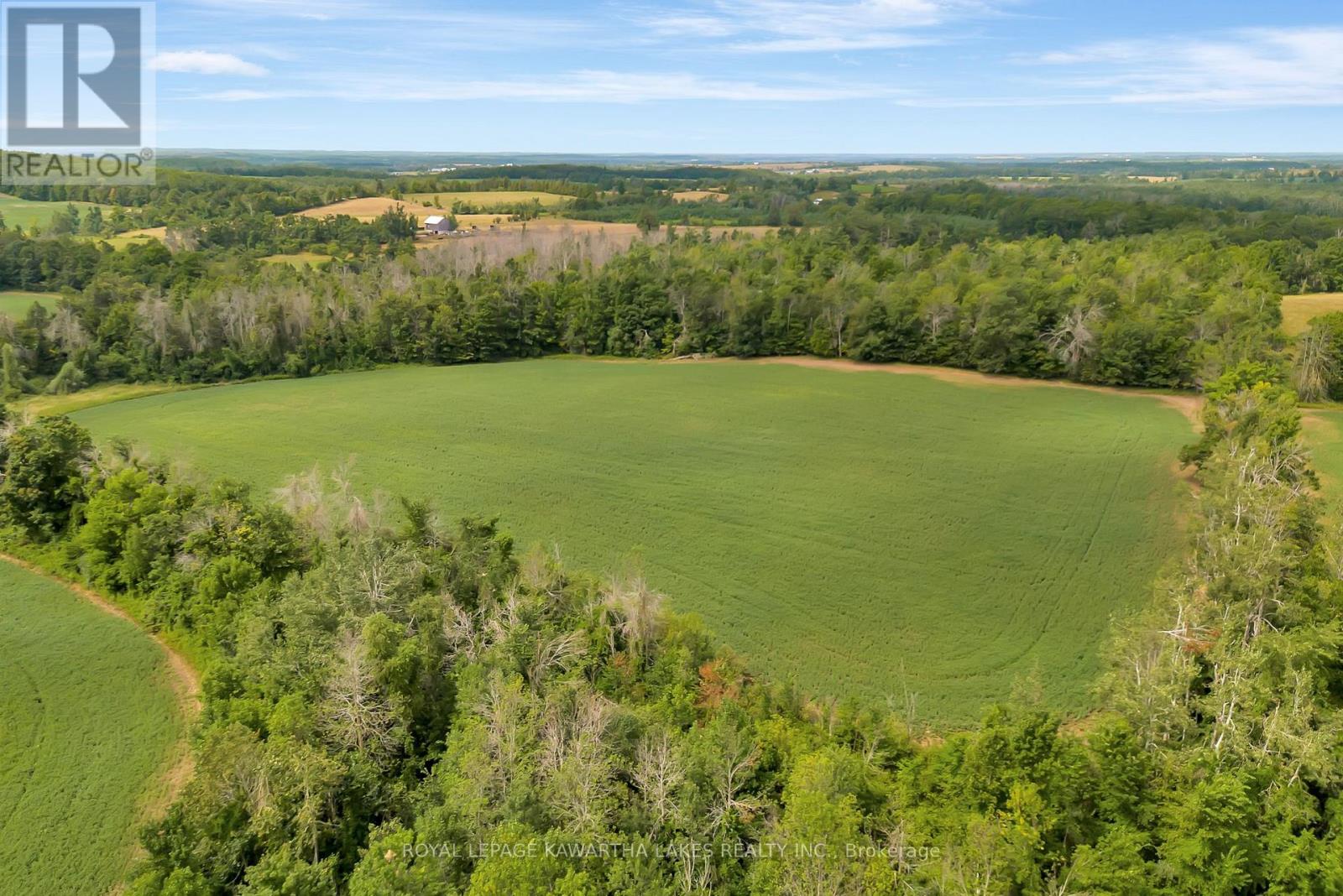 1707 Blezard Line E, Otonabee-South Monaghan, Ontario  K0L 2B0 - Photo 15 - X12949676