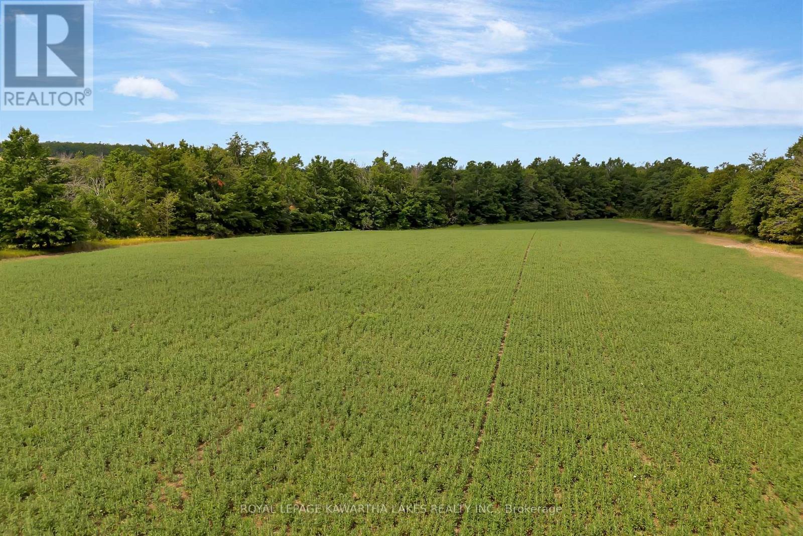 1707 Blezard Line E, Otonabee-South Monaghan, Ontario  K0L 2B0 - Photo 20 - X12949676
