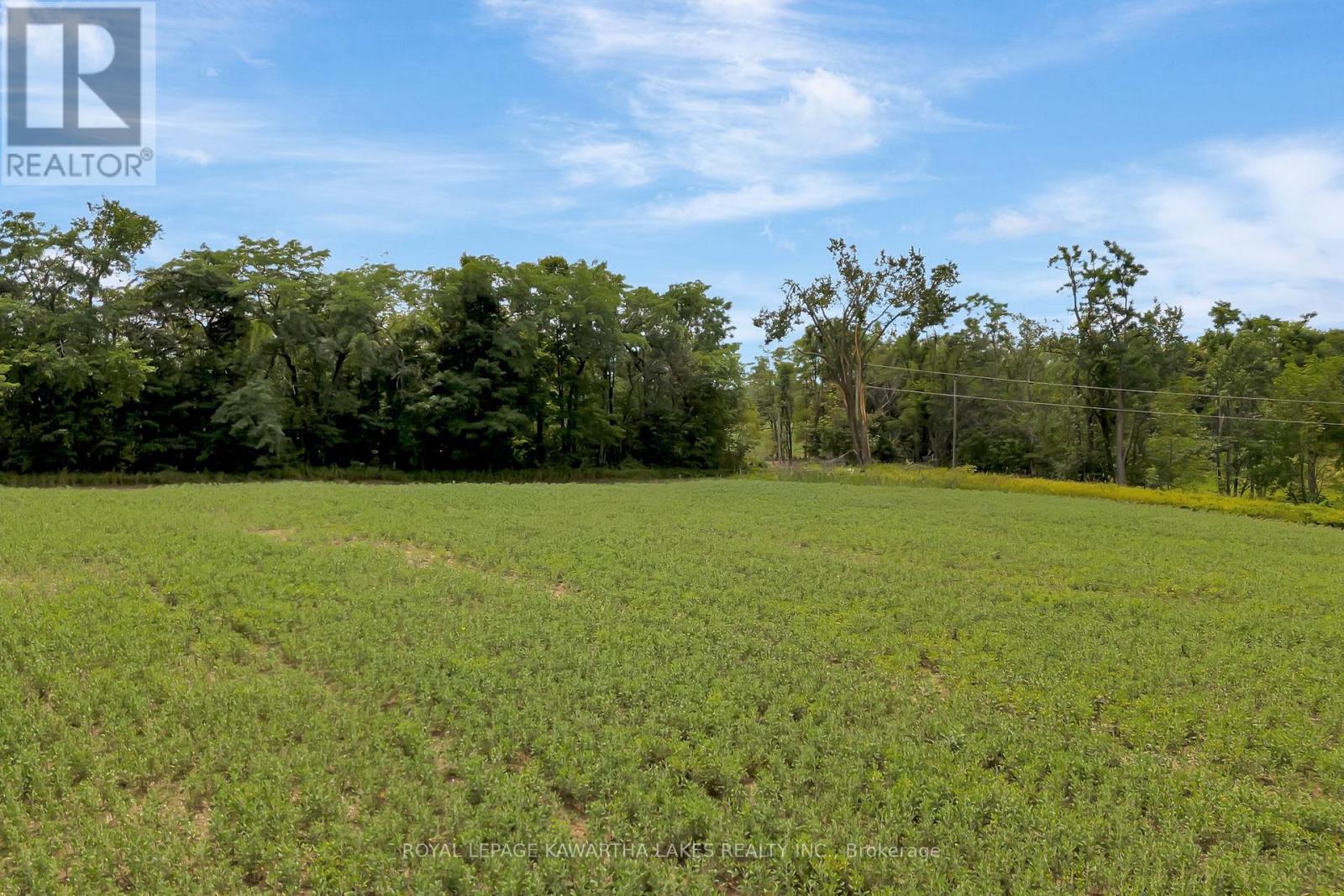 1707 Blezard Line E, Otonabee-South Monaghan, Ontario  K0L 2B0 - Photo 22 - X12949676