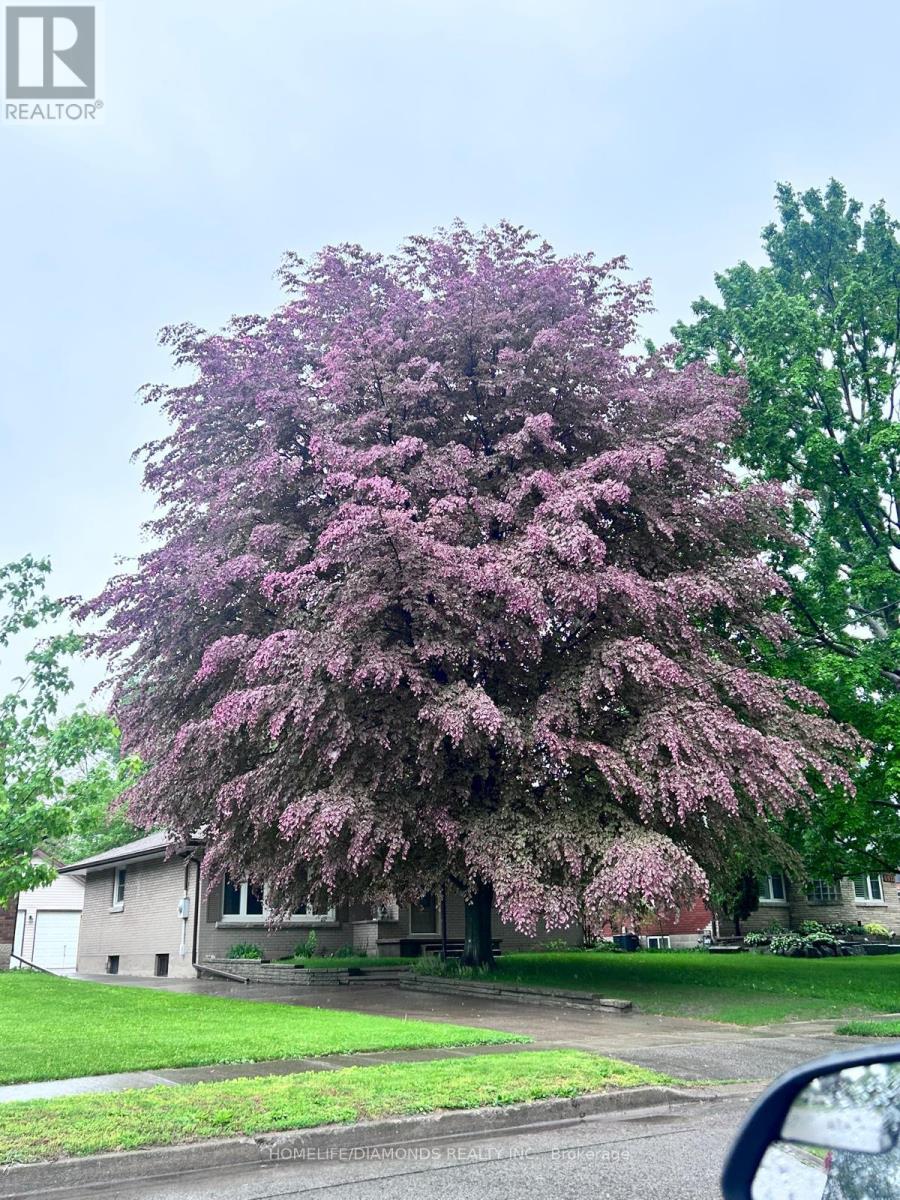 6902 Dell Avenue, Niagara Falls, Ontario  L2G 4V8 - Photo 28 - X12946440