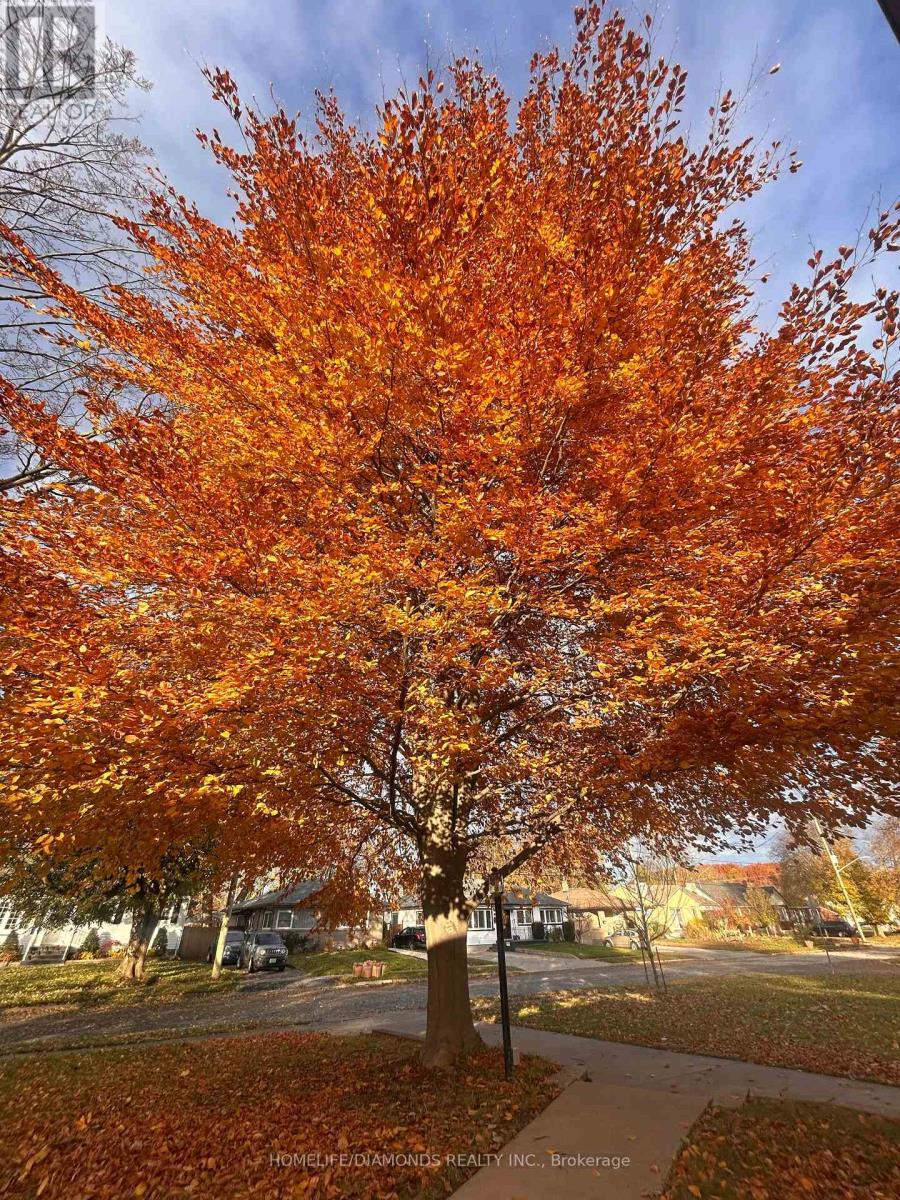 6902 Dell Avenue, Niagara Falls, Ontario  L2G 4V8 - Photo 27 - X12946440