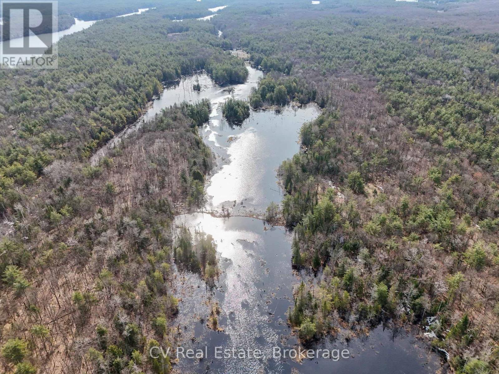 3410 Southwood Road, Gravenhurst, Ontario  P0G 1G0 - Photo 11 - X12949918