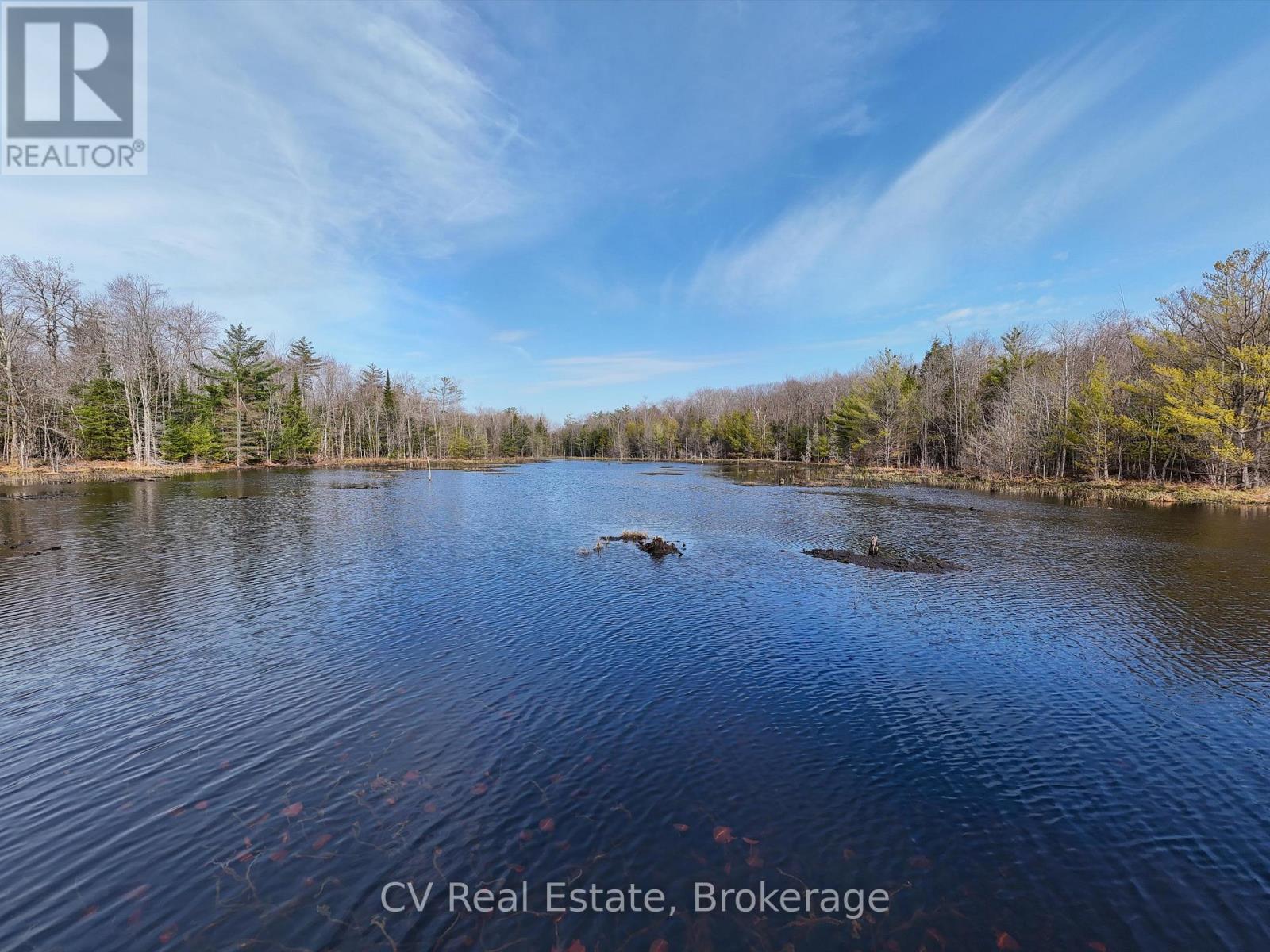 3410 Southwood Road, Gravenhurst, Ontario  P0G 1G0 - Photo 14 - X12949918