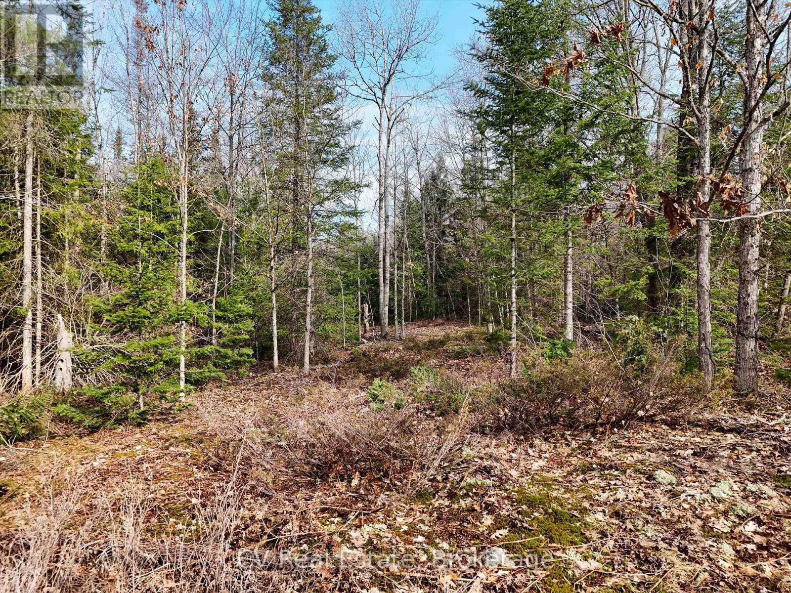 3410 Southwood Road, Gravenhurst, Ontario  P0G 1G0 - Photo 3 - X12949918