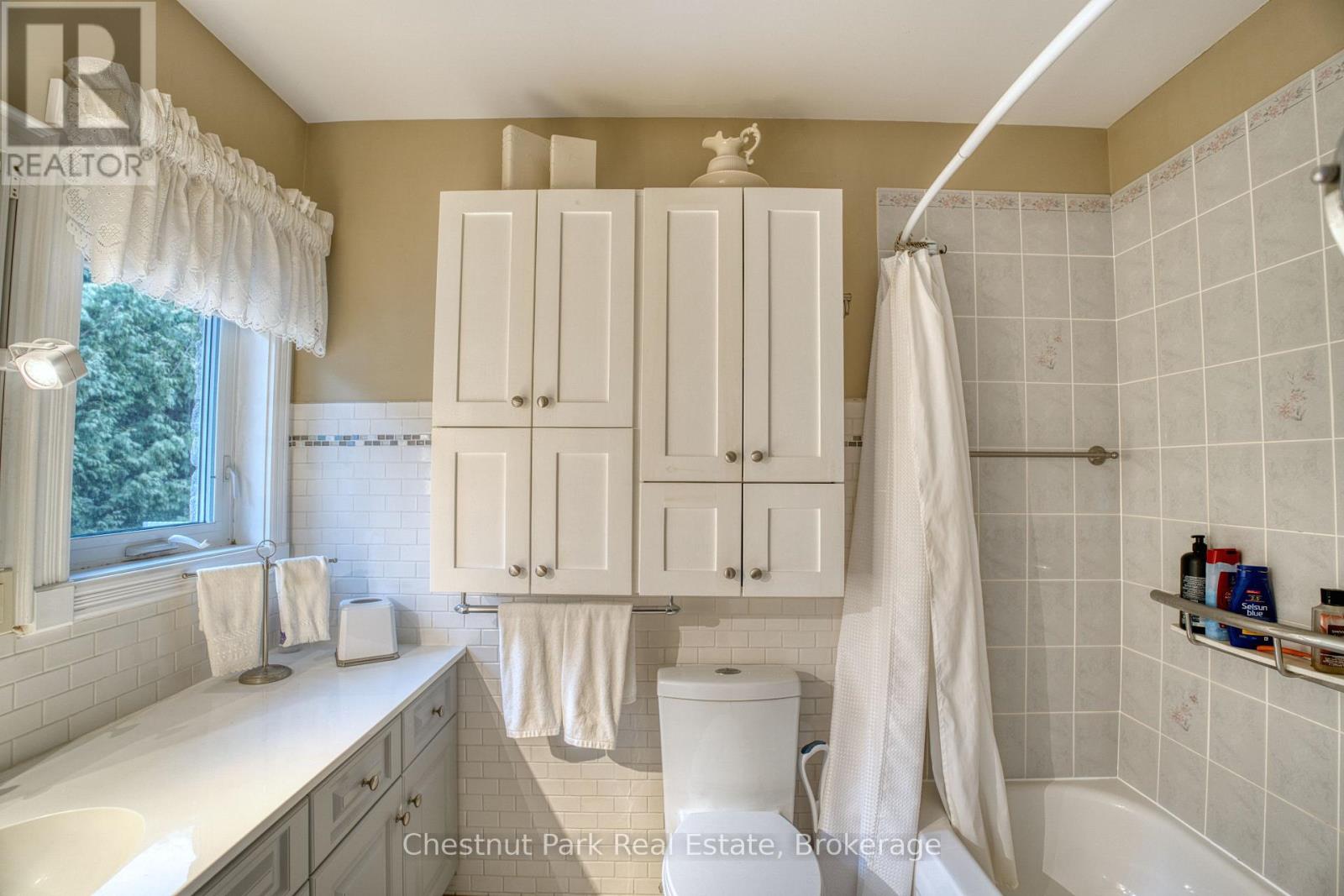 171 Beattie Street, Owen Sound, Ontario  N4K 6X3 - Photo 16 - X12949982