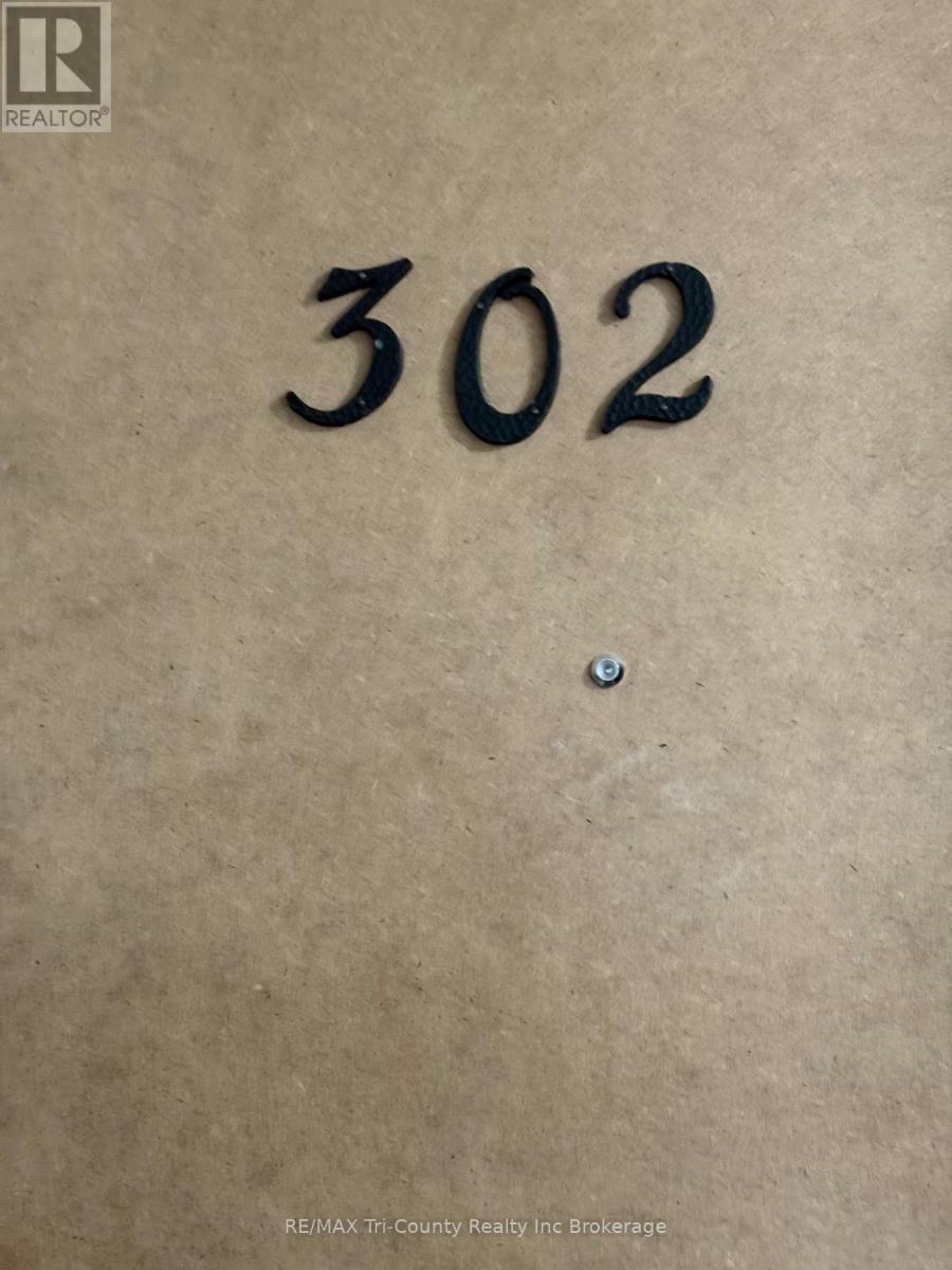 302 - 191 Lisgar Avenue, Tillsonburg, Ontario  N4G 3L5 - Photo 2 - X12949730