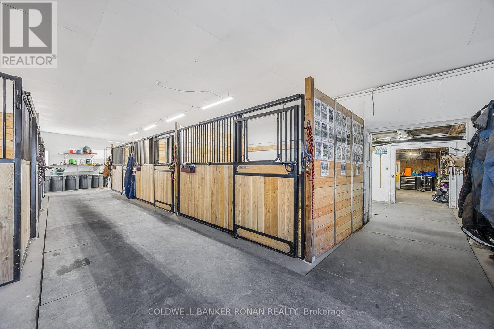 5735 Concession Rd 6, Adjala-Tosorontio, Ontario  L0M 1J0 - Photo 10 - N12949920