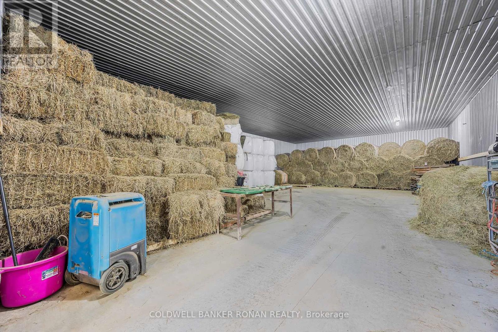 5735 Concession Rd 6, Adjala-Tosorontio, Ontario  L0M 1J0 - Photo 15 - N12949920