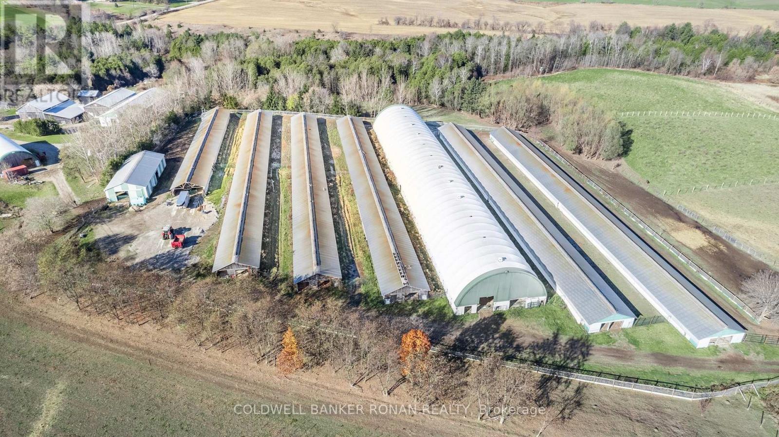 5735 Concession Rd 6, Adjala-Tosorontio, Ontario  L0M 1J0 - Photo 4 - N12949920