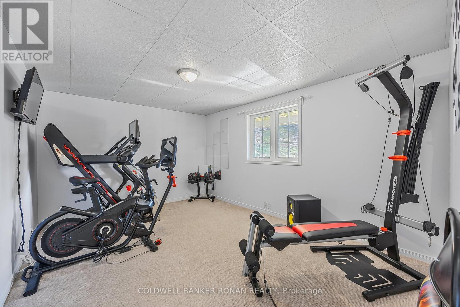 5735 Concession Rd 6, Adjala-Tosorontio, Ontario  L0M 1J0 - Photo 44 - N12949920