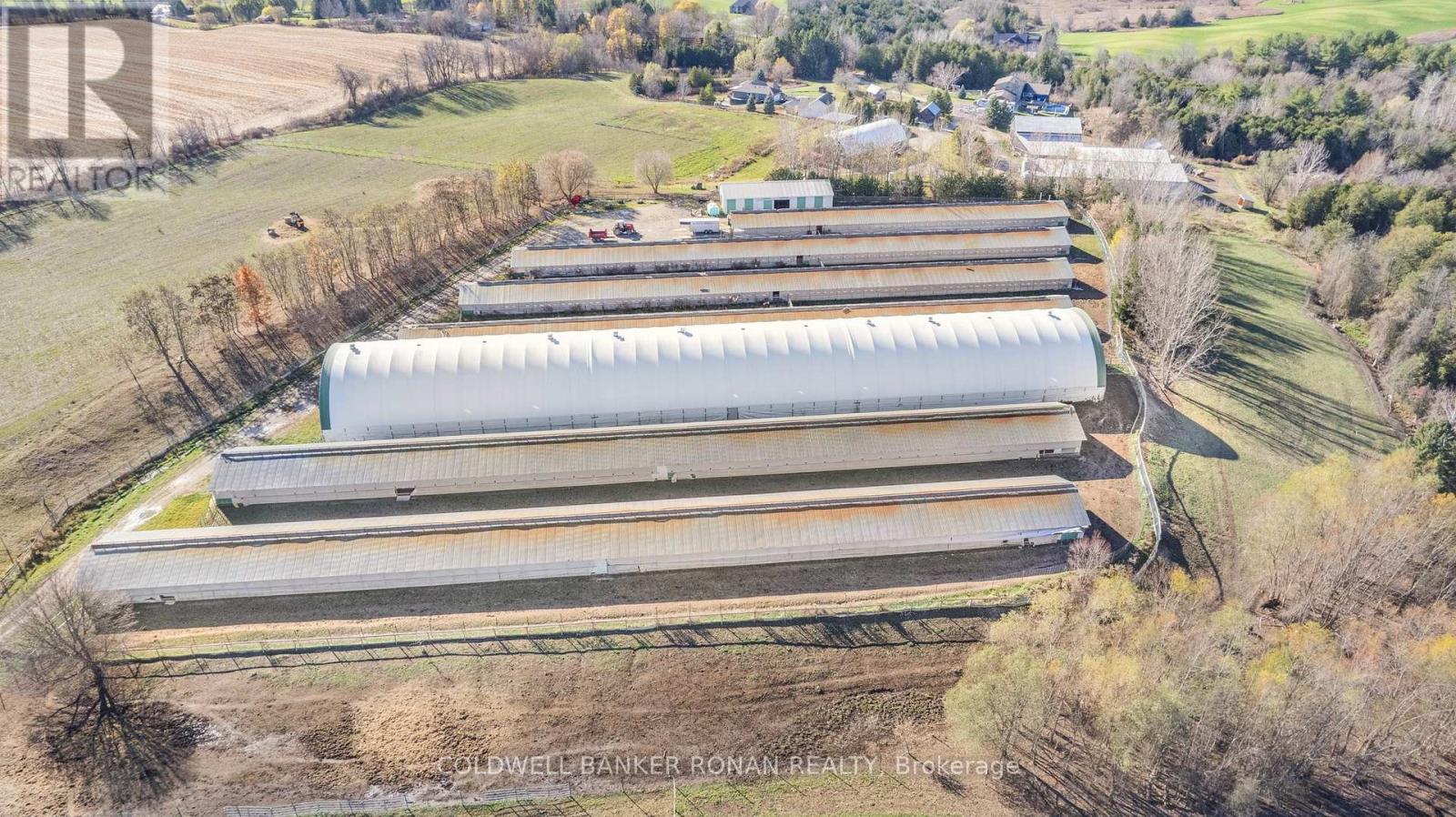 5735 Concession Rd 6, Adjala-Tosorontio, Ontario  L0M 1J0 - Photo 41 - N12949932