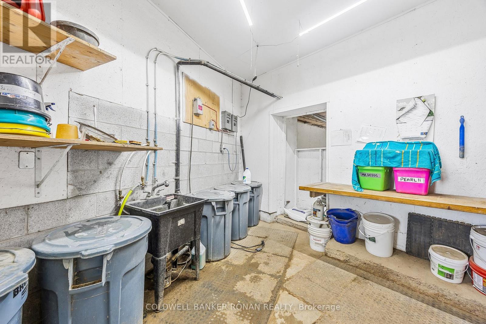 5735 Concession Rd 6, Adjala-Tosorontio, Ontario  L0M 1J0 - Photo 45 - N12949932