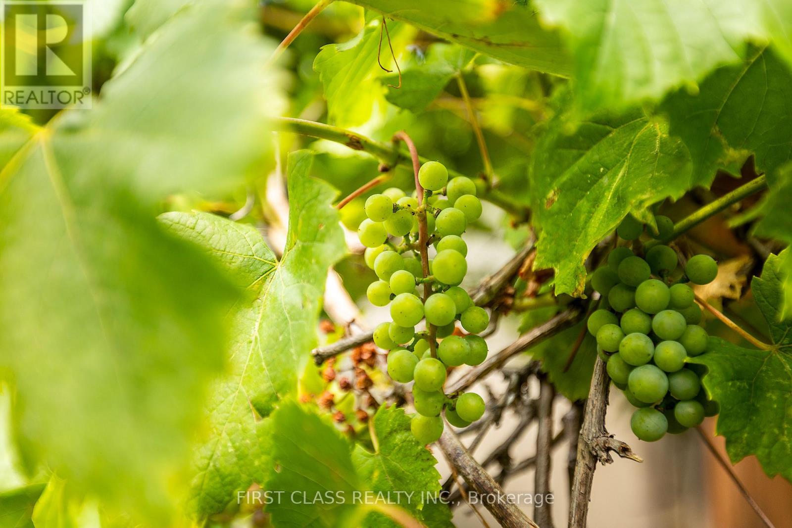 802 Yates Drive, Milton, Ontario  L9T 0E7 - Photo 45 - W12945712