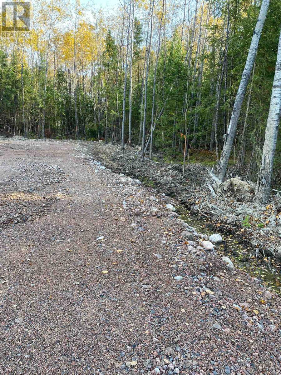 Lot 33 Rutherglen Line, Bonfield, Ontario  P0H 2E0 - Photo 3 - X12949994