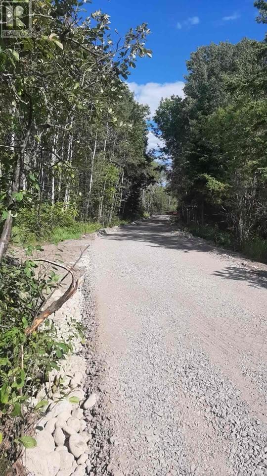 Lot 33 Rutherglen Line, Bonfield, Ontario  P0H 2E0 - Photo 6 - X12949994