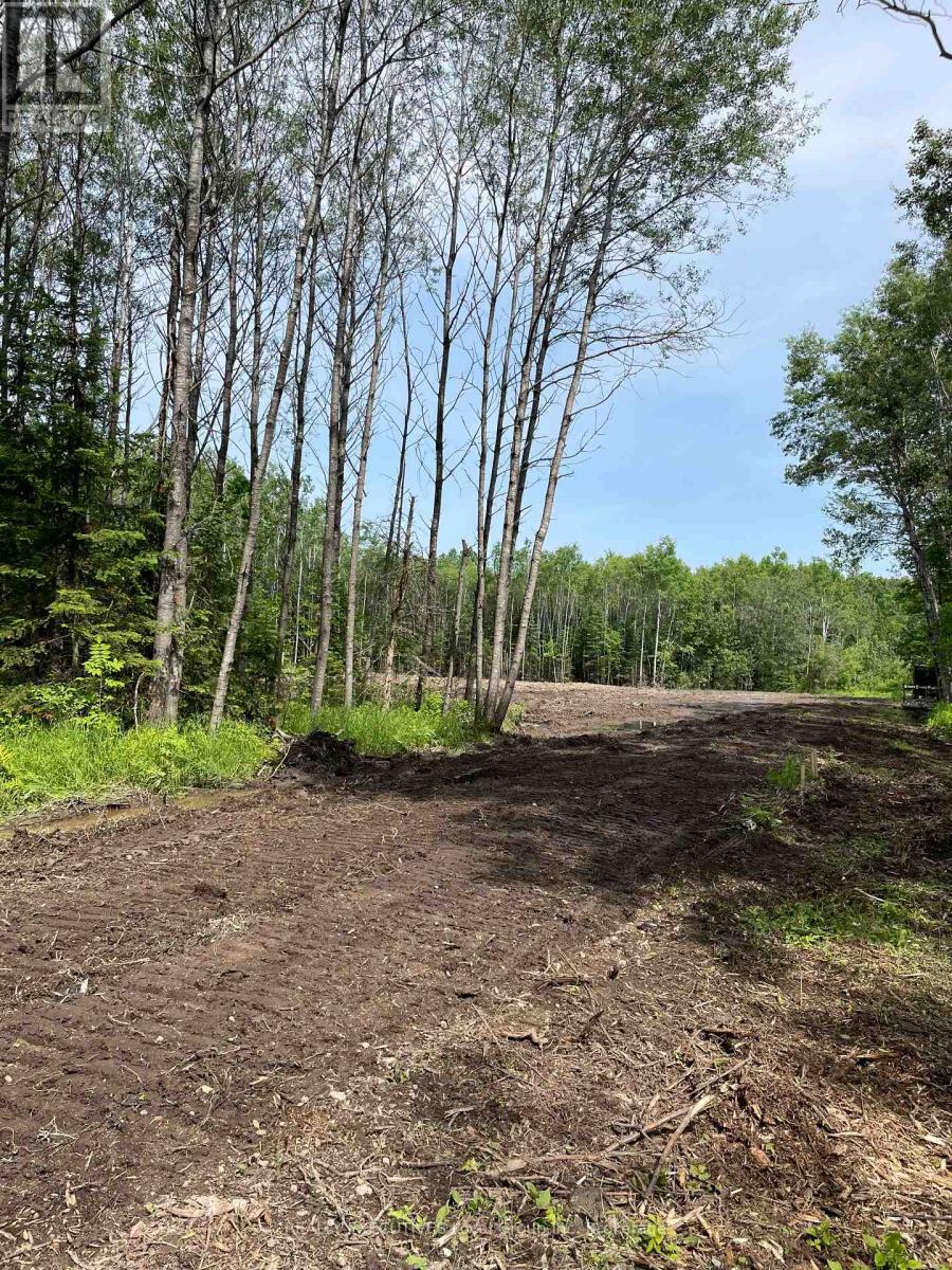 Lot 33 Rutherglen Line, Bonfield, Ontario  P0H 2E0 - Photo 4 - X12949994