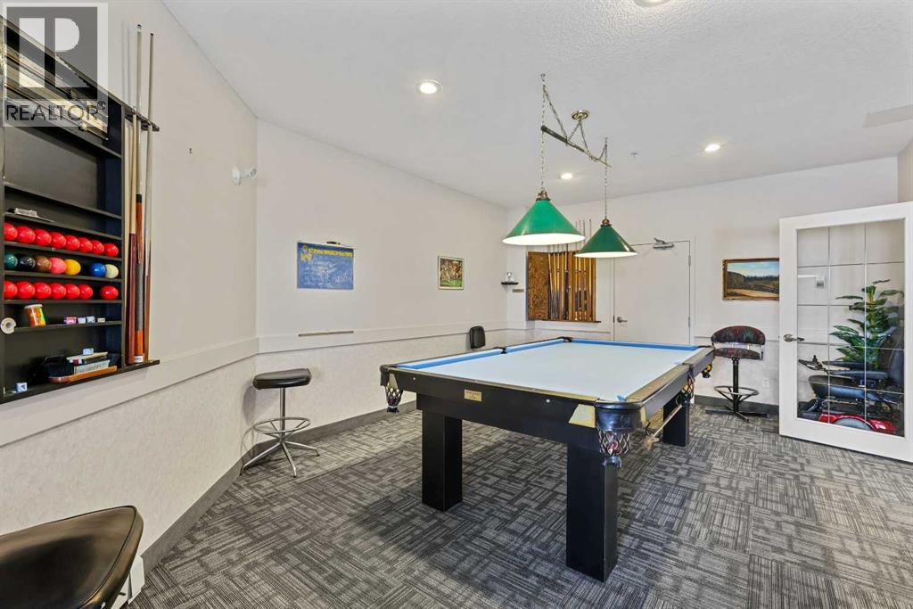 311, 3 Parklane Way, Strathmore, Alberta  T1P 1N6 - Photo 38 - A2297885