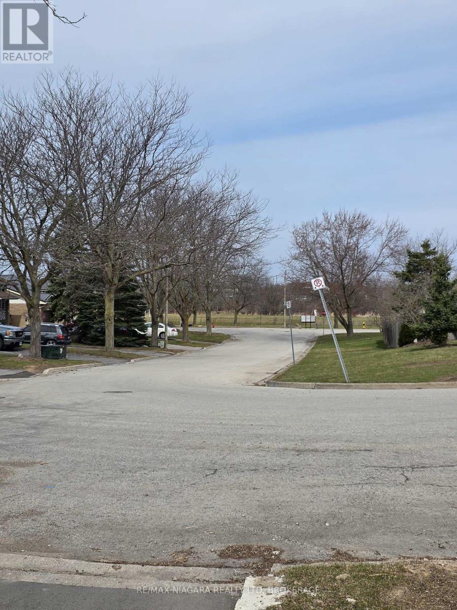 Lower - 42 Hemlock Street, St. Catharines, Ontario  L2T 4B7 - Photo 21 - X12890176