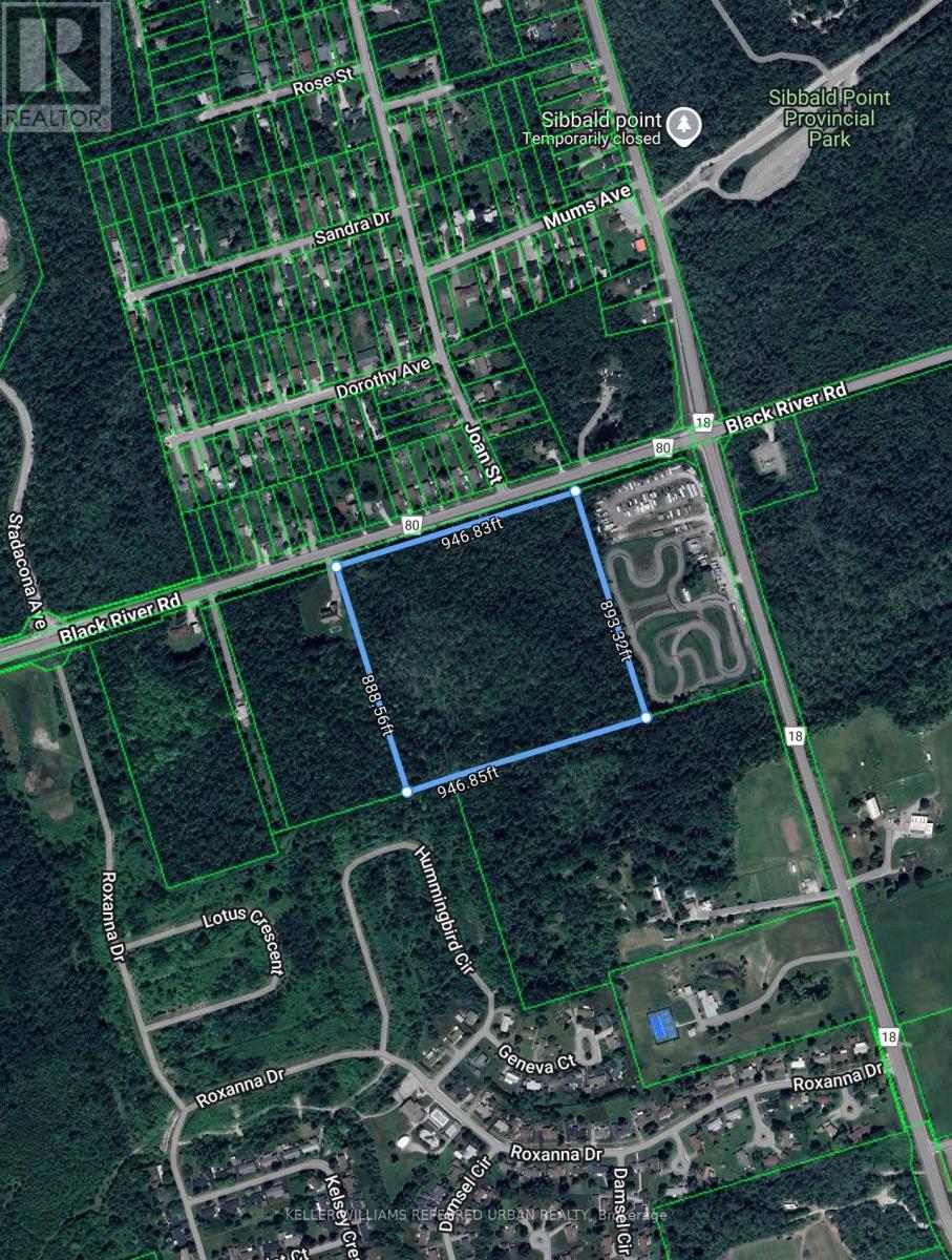 N/a Black River Road, Georgina, Ontario  L0E 1R0 - Photo 2 - N12569388