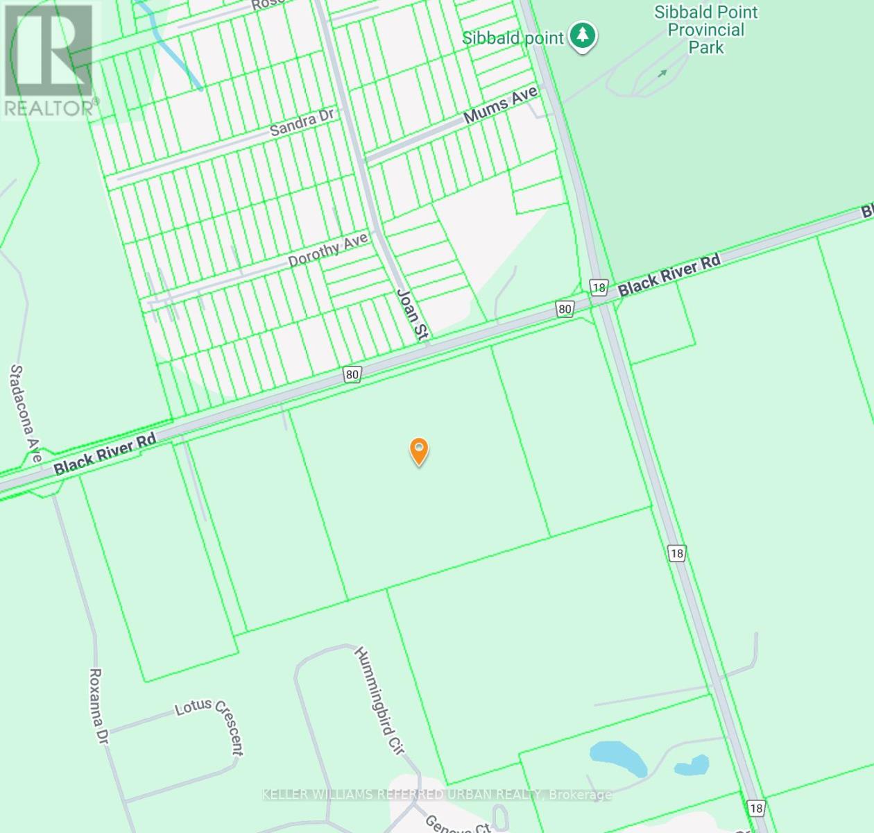 N/a Black River Road, Georgina, Ontario  L0E 1R0 - Photo 3 - N12569388