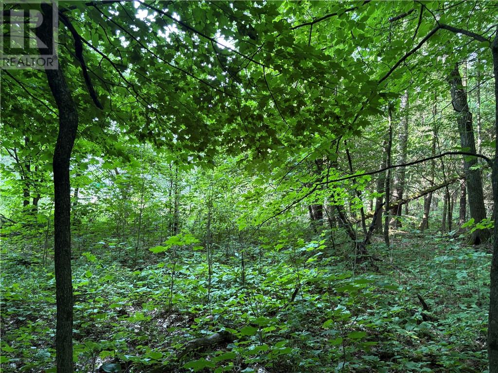 00 Lansdowne Channel, Killarney, Ontario  P0M 1A0 - Photo 8 - 2126992