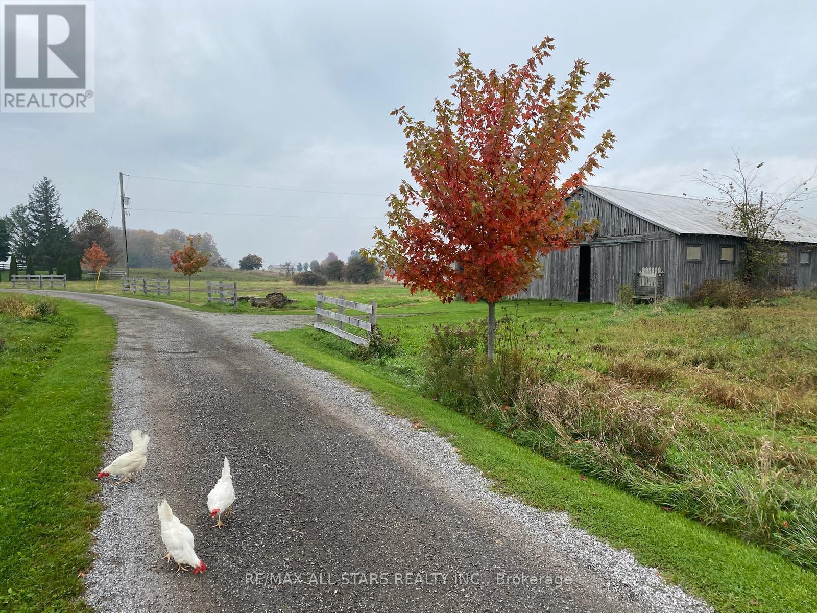 1900 Concession 4 Road, Uxbridge, Ontario  L0C 1A0 - Photo 45 - N12950026