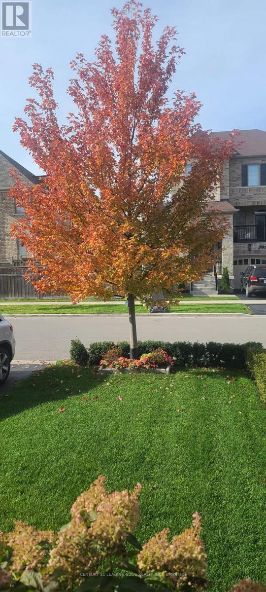 23 Terry Crescent, Clarington, Ontario  L1C 0W4 - Photo 6 - E12947598